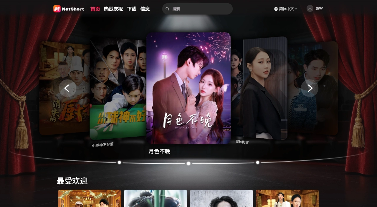 NetShort官网截图